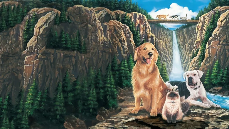 Homeward Bound: The Incredible Journey poster