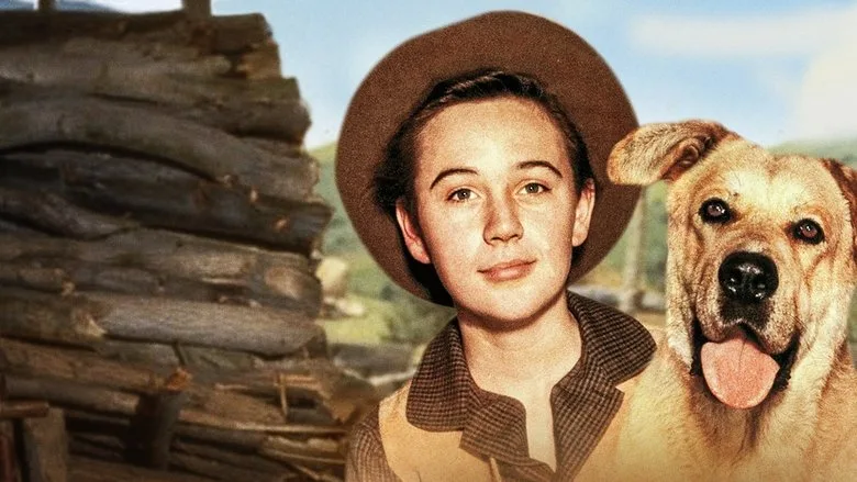 Old Yeller TMDB poster or backdrop