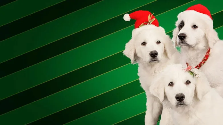 Santa Buddies TMDB poster or backdrop