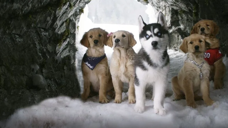 Snow Buddies TMDB poster or backdrop