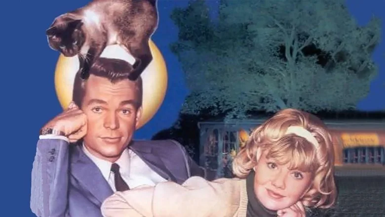That Darn Cat! TMDB poster or backdrop