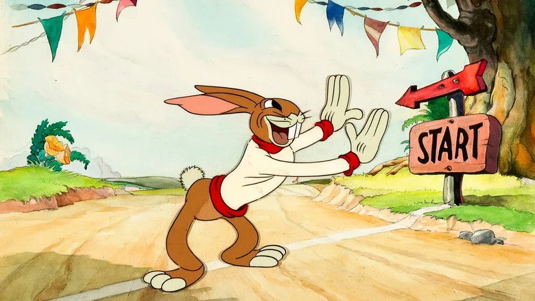 The Tortoise and the Hare TMDB poster or backdrop