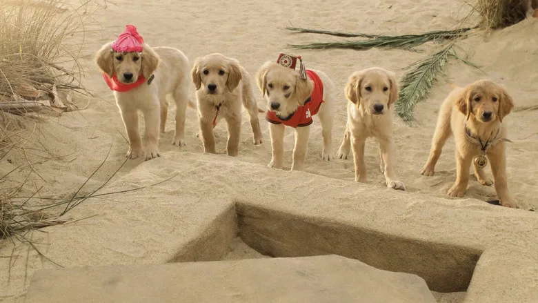 Treasure Buddies poster