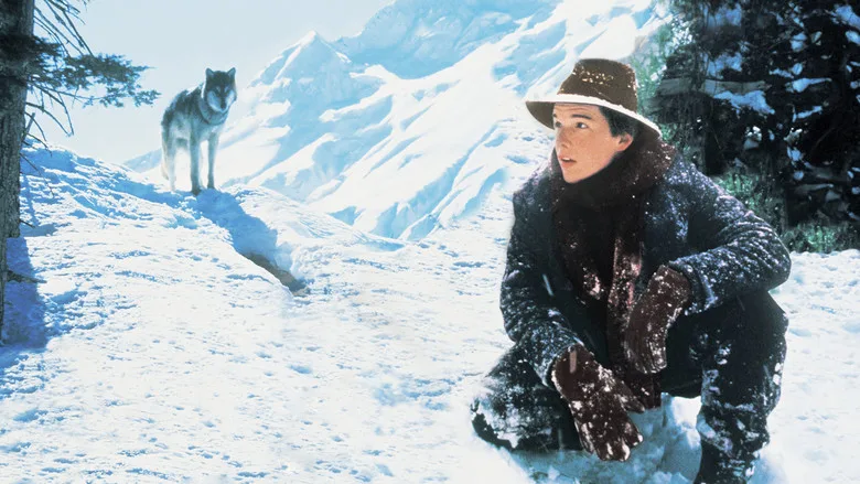 White Fang poster