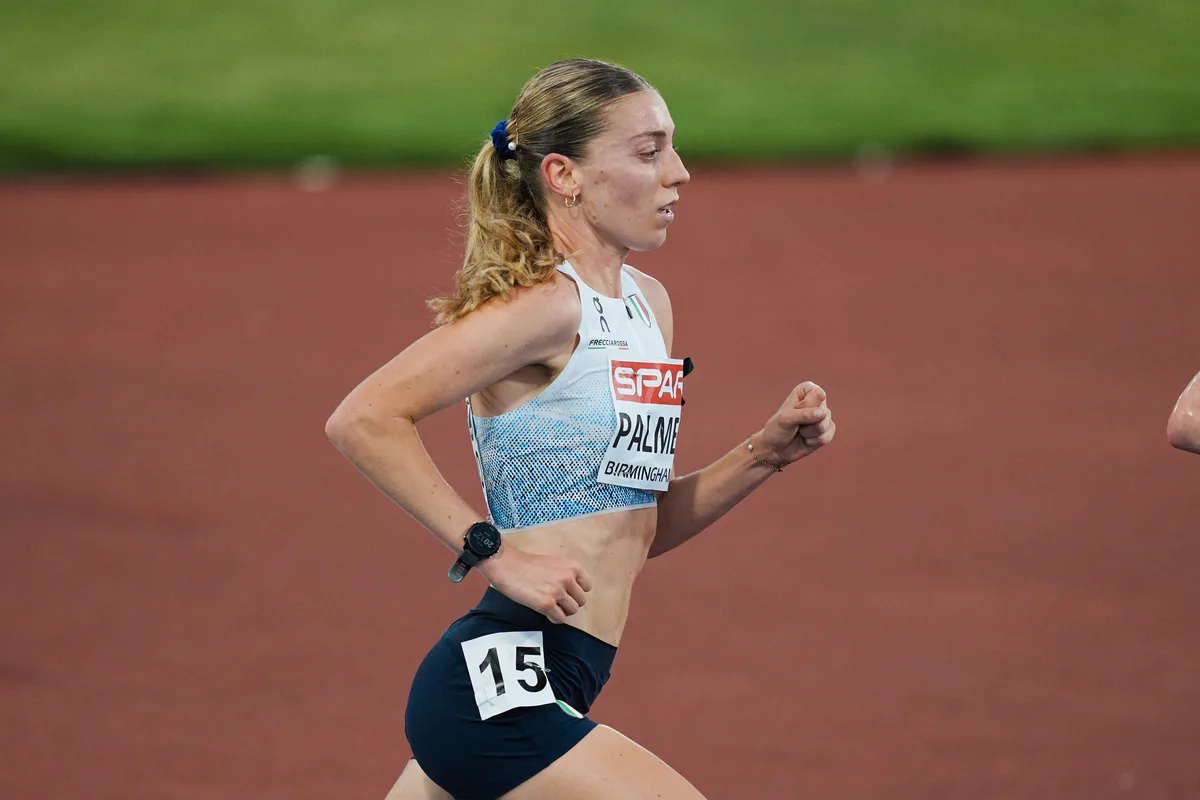 Elisa Palmero