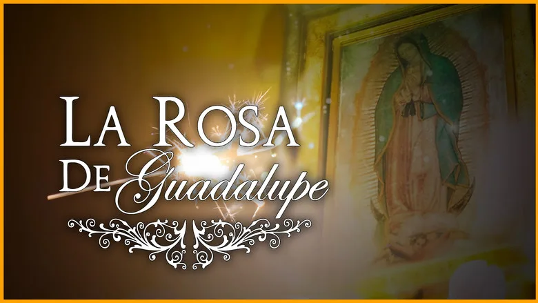 La rosa de Guadalupe poster