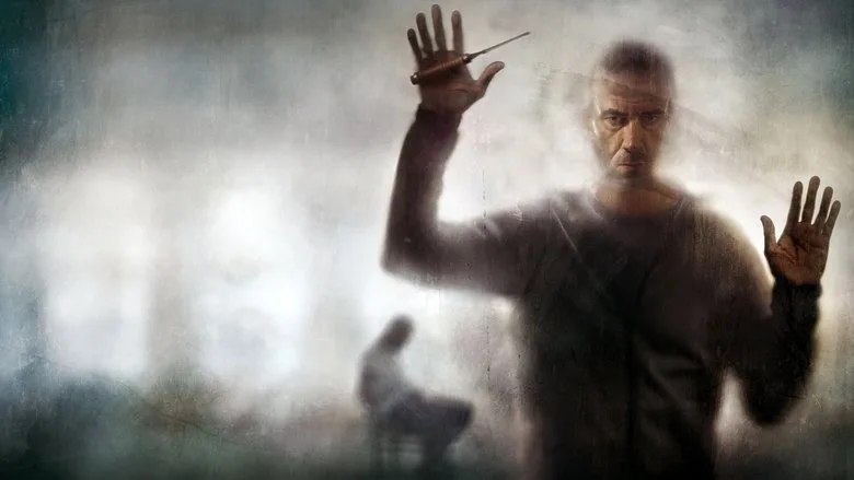 Shadows poster