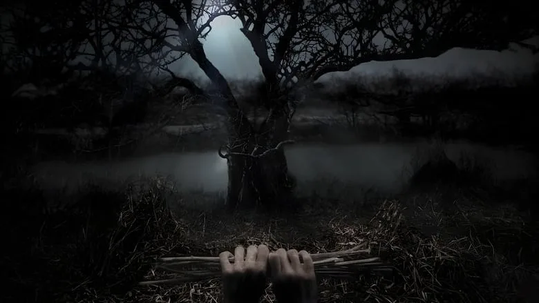 Stephen King's Kingdom Hospital poster