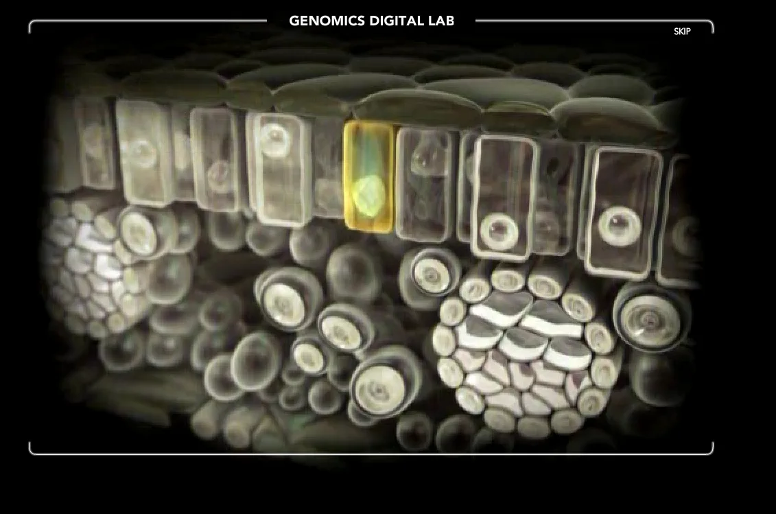 Genomics Digital Lab