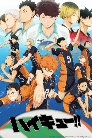 Haikyu!! anime artwork