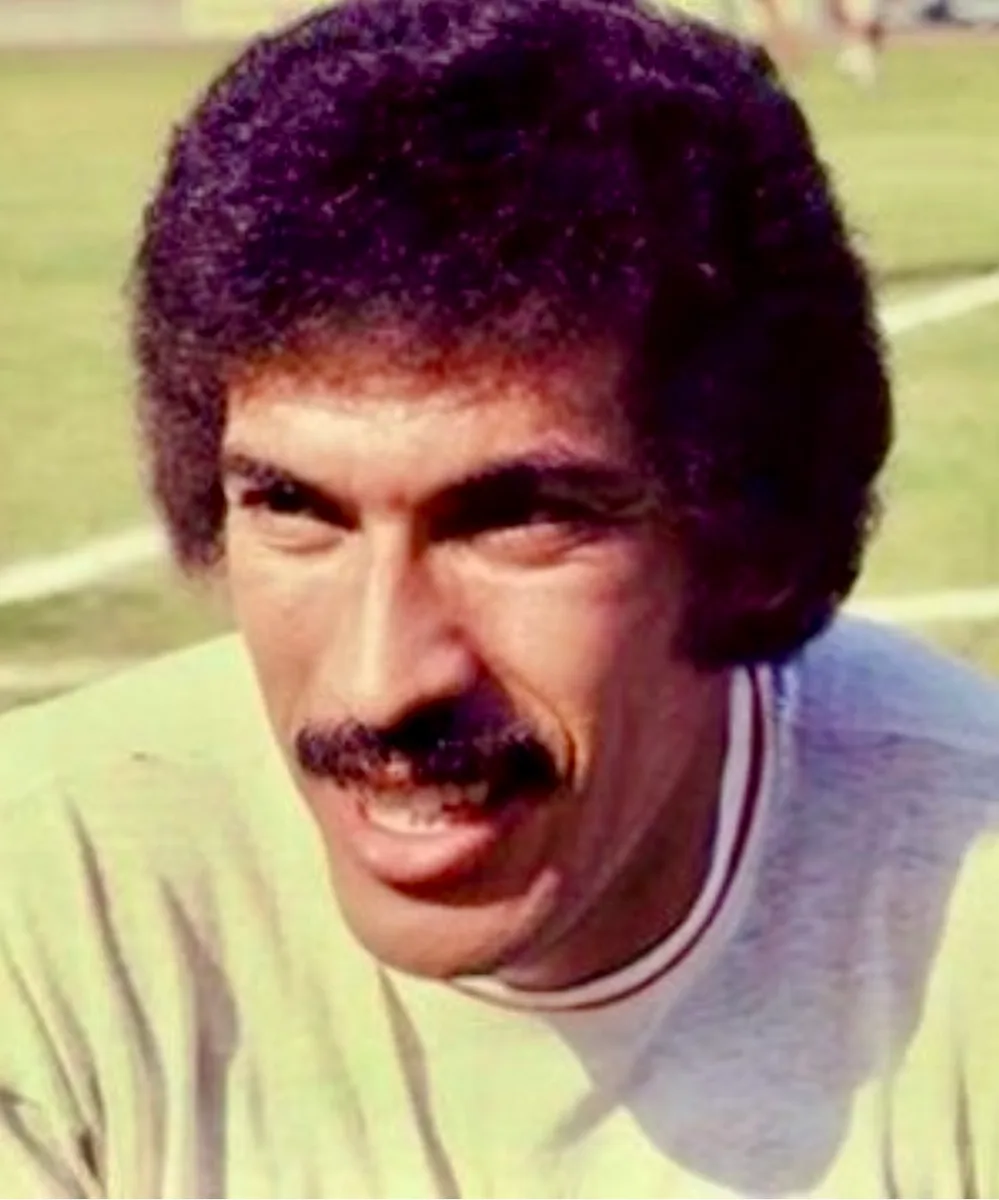 Hassan Shehata