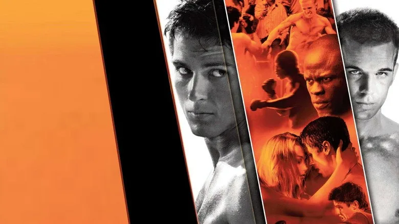 Never Back Down movies in order