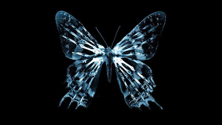 The Butterfly Effect movies in order