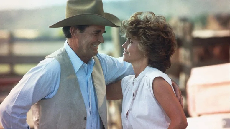 Murphy's Romance poster