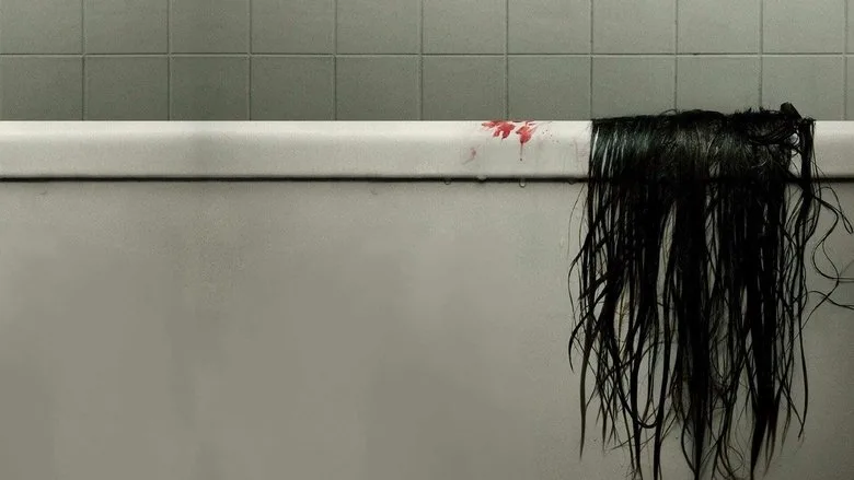 The Grudge TMDB poster or backdrop