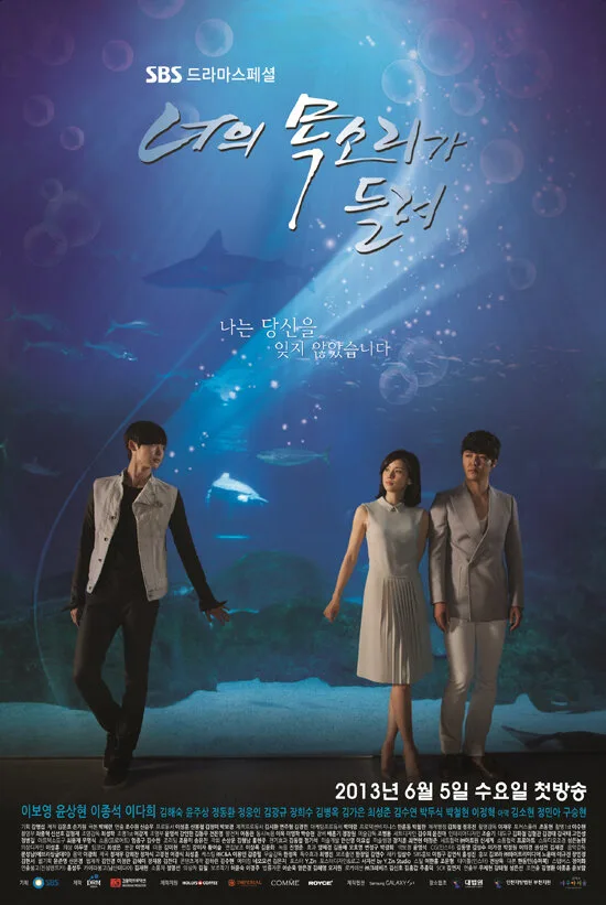 I Hear Your Voice poster
