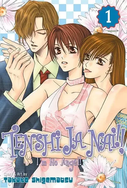 I'm no Angel! manga artwork