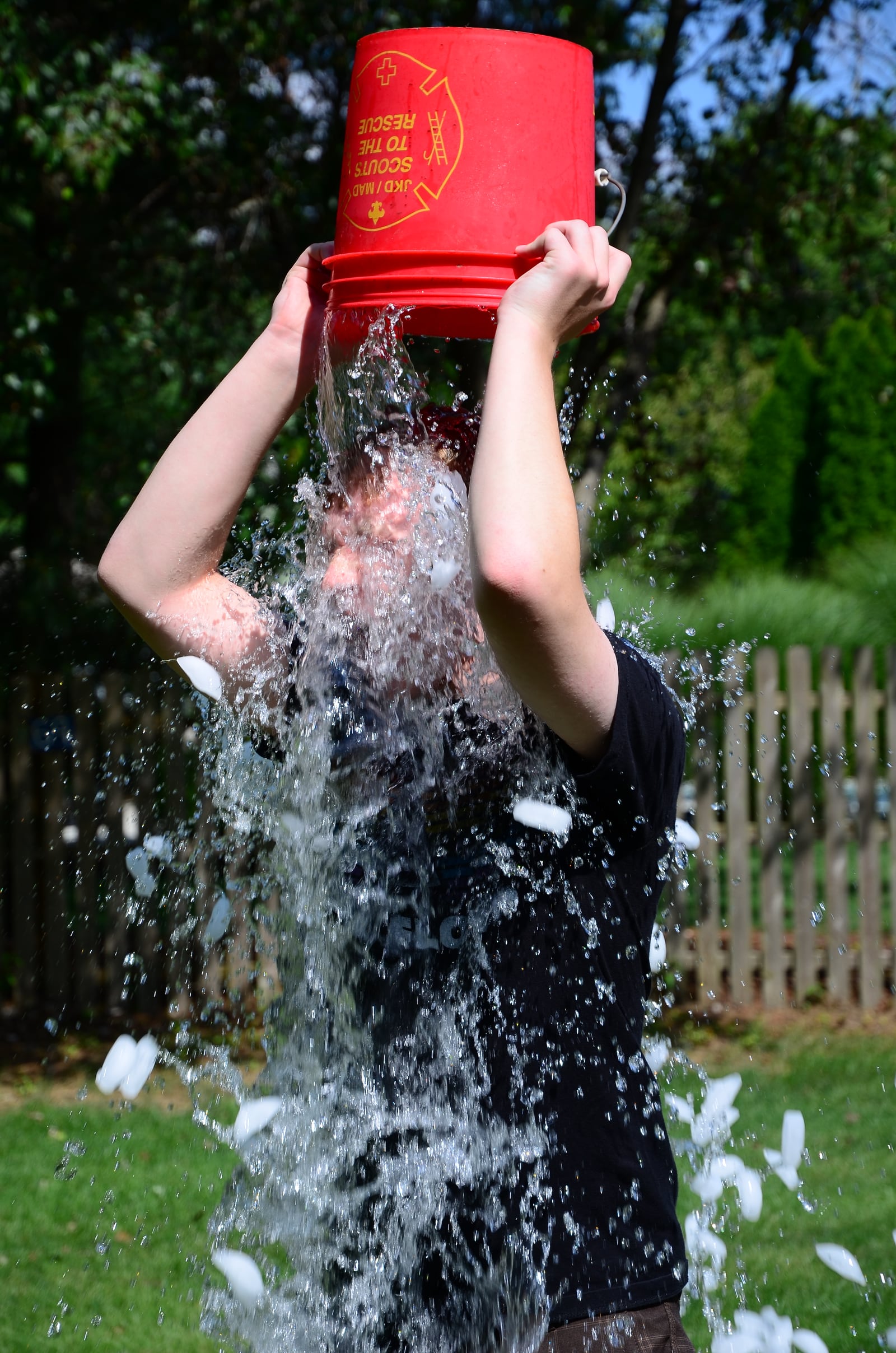 Ice Bucket Challenge reference image