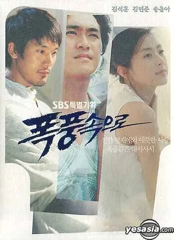 Into the Storm poster