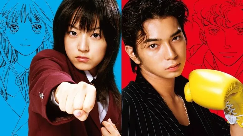 BOYS OVER FLOWERS TMDB poster or backdrop