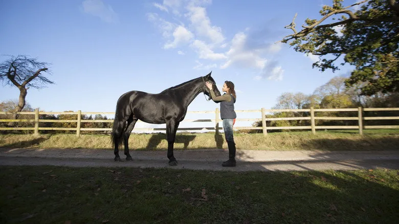 Free Rein TMDB poster or backdrop