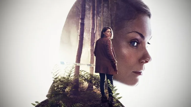 In the Dark poster