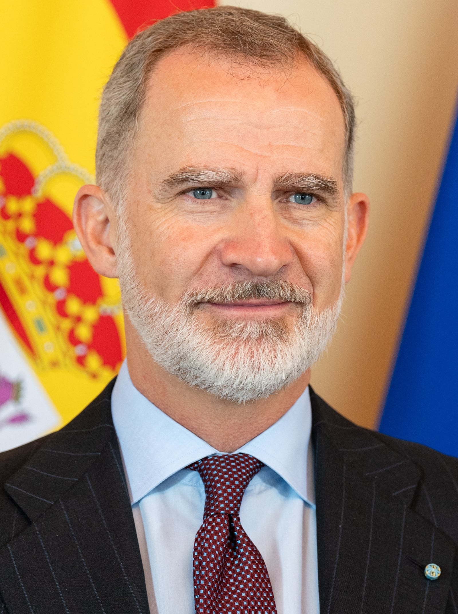King Felipe VI of Spain in a public royal portrait or appearance