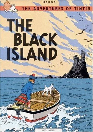 L'île noire book cover