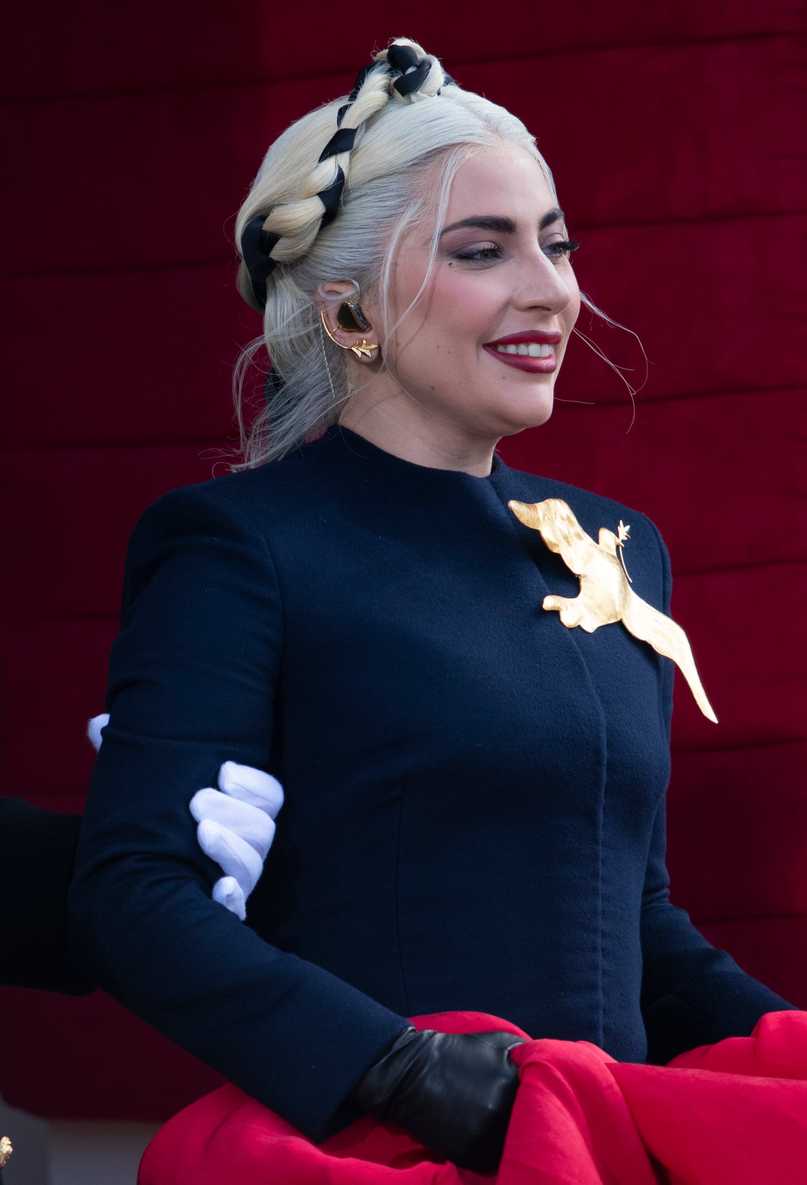Lady Gaga meat dress reference image