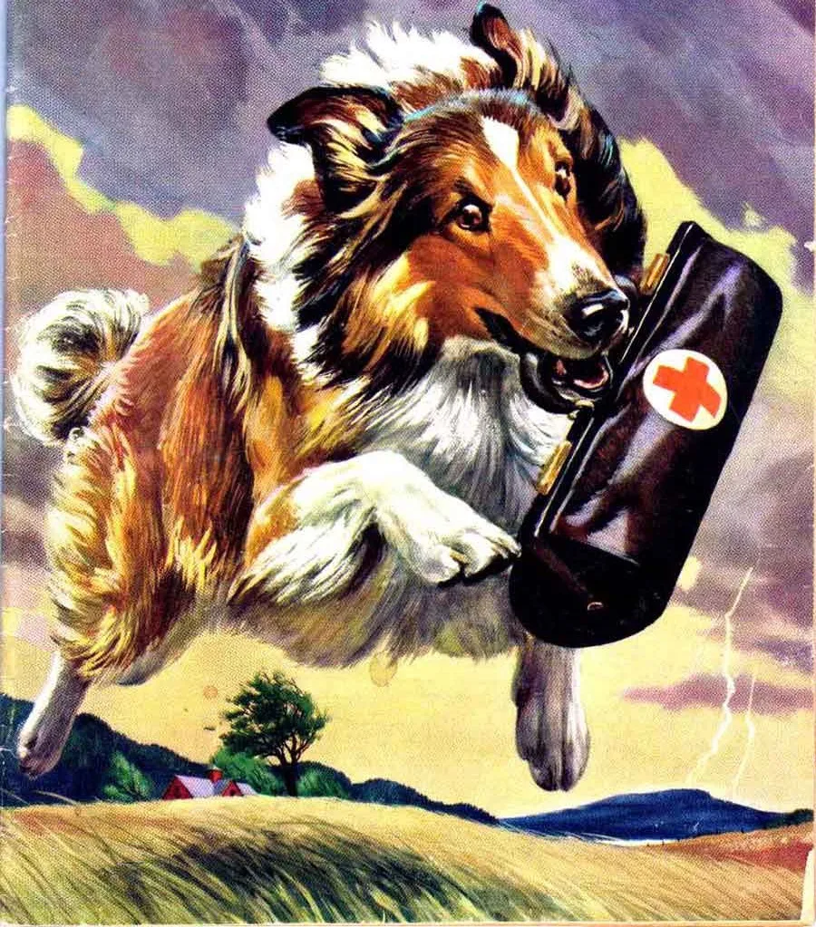 Lassie