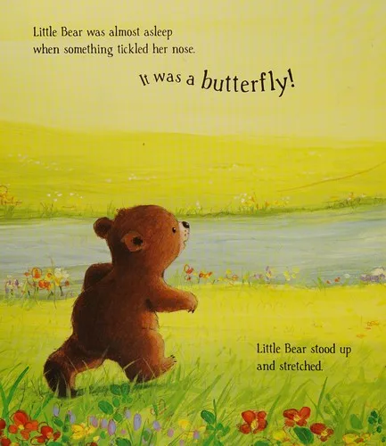 Little Bear and the Butterflies book cover