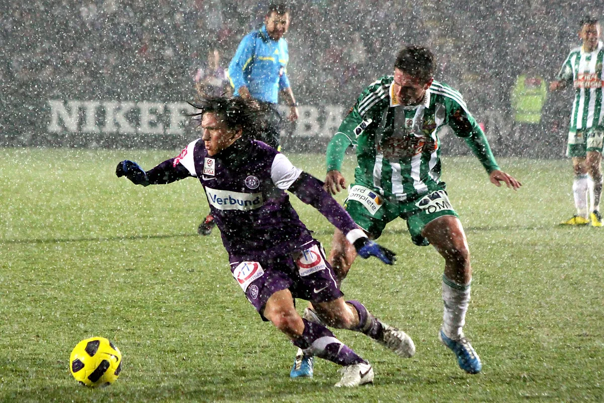 Marko Stanković