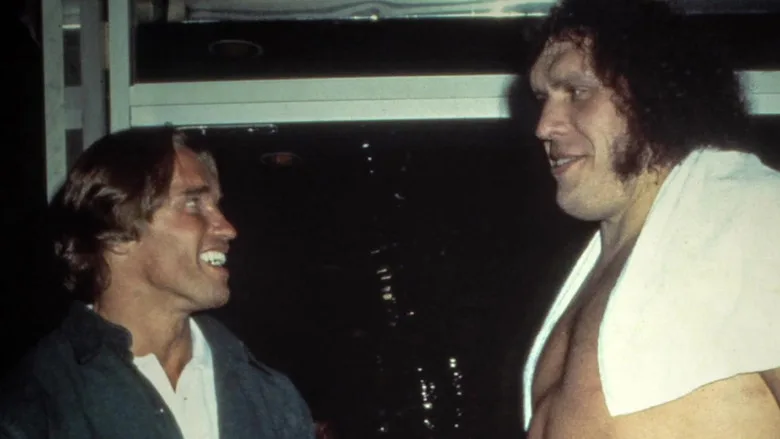 Andre the Giant TMDB poster or backdrop