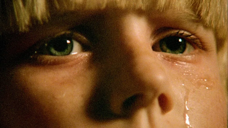 The Brood TMDB poster or backdrop
