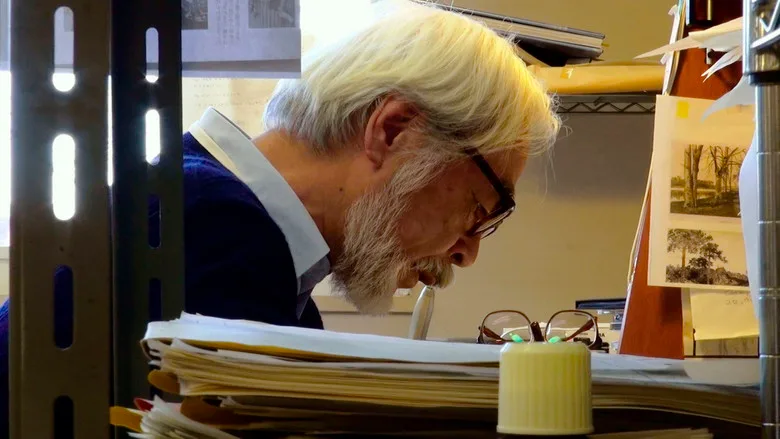 The Kingdom of Dreams and Madness TMDB poster or backdrop