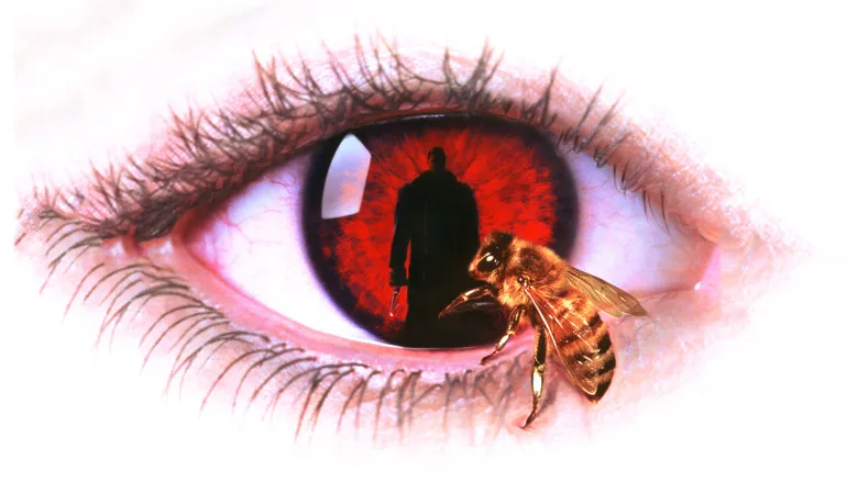 Candyman poster