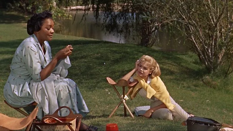 Imitation of Life TMDB poster or backdrop