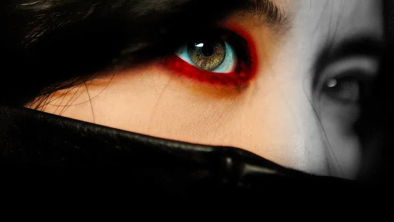 Lady Vengeance TMDB poster or backdrop