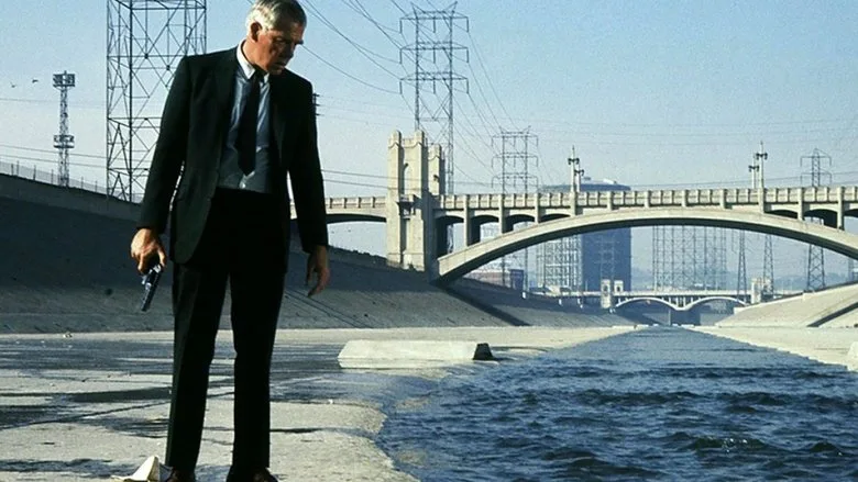 Point Blank poster