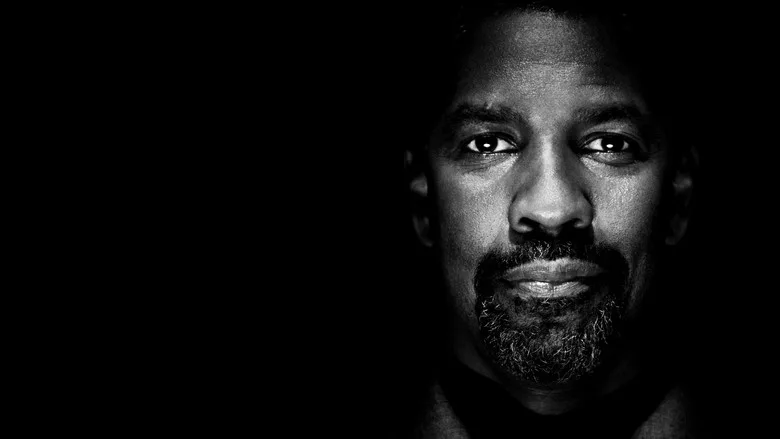 Safe House TMDB poster or backdrop