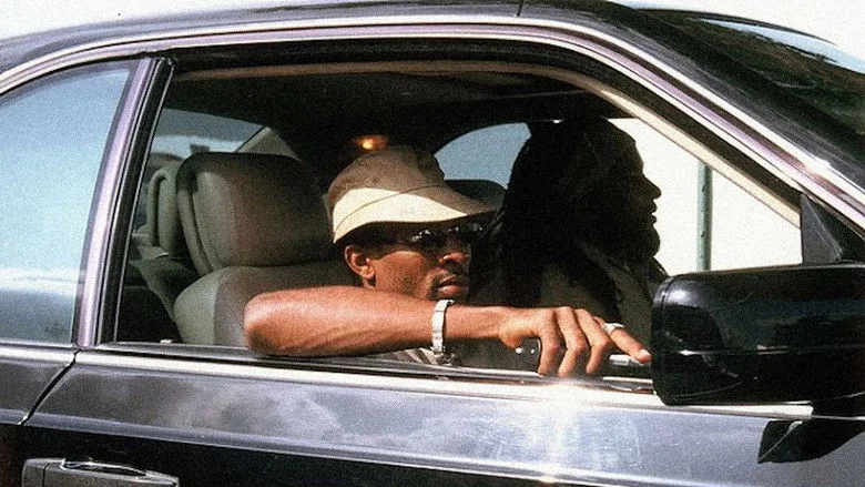 Shottas TMDB poster or backdrop