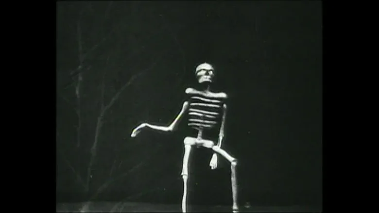 The Dancing Skeleton poster