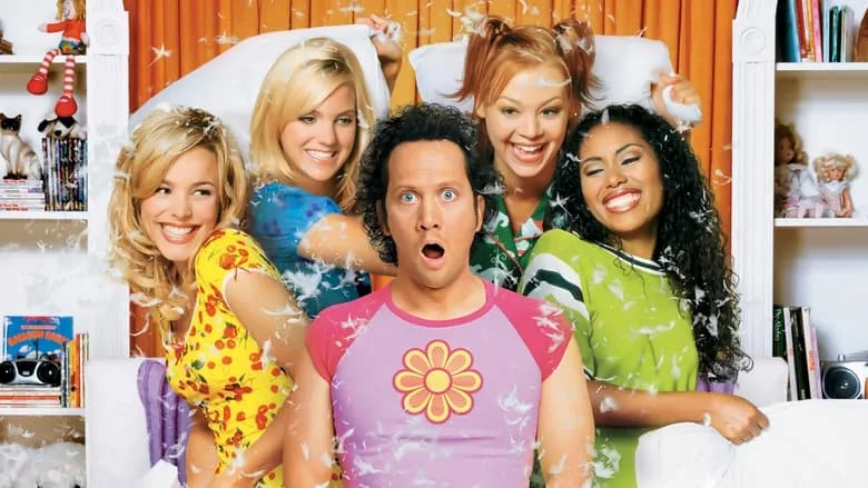 The Hot Chick TMDB poster or backdrop