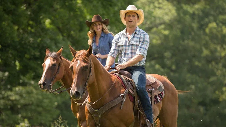 The Longest Ride TMDB poster or backdrop