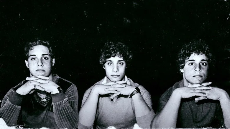 Three Identical Strangers poster