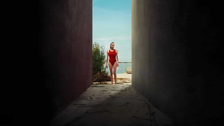 Visions poster