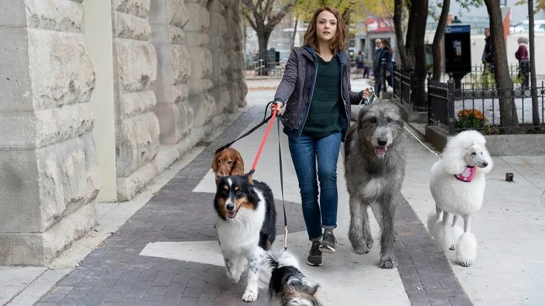 A Dog's Journey TMDB poster or backdrop