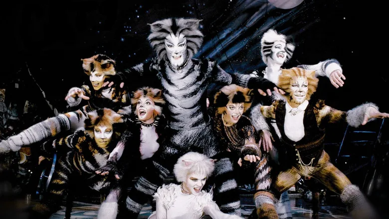 Cats poster