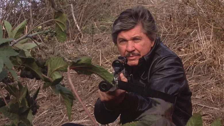 Death Wish 4: The Crackdown poster