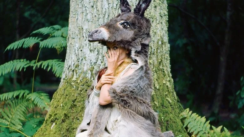 Donkey Skin poster